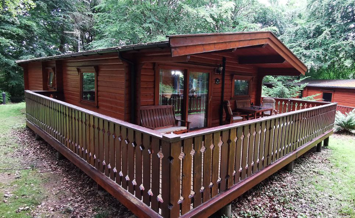 Hidden in the trees!