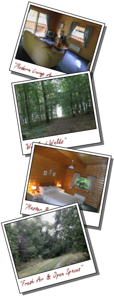 Wren Lodge Kenwick Woods Facilities